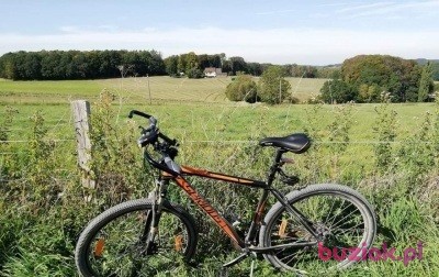 Raymond , Mężczyzna, 51, Niemcy, Zdjęcie: 4