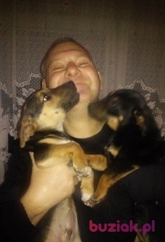 Jacek, Mężczyzna, 54, Ostrów Mazowiecka, Polska, Zdjęcie: 1