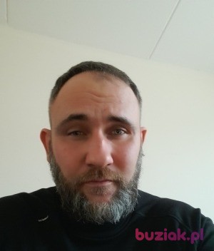 Robert, Male, 43, Haarlem North Holland Province, Holandia, Photo: 3