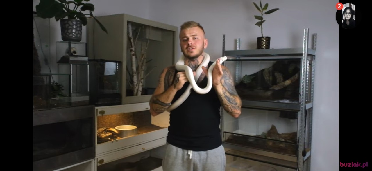 Makson, Mężczyzna, 21, Brodnica, Polska: 1