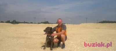 james, Mężczyzna, 47, Doncaster, Wielka Brytania, Zdjęcie: 1