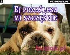 Mirek, Mężczyzna, 46, Polska, Zdjęcie: 4