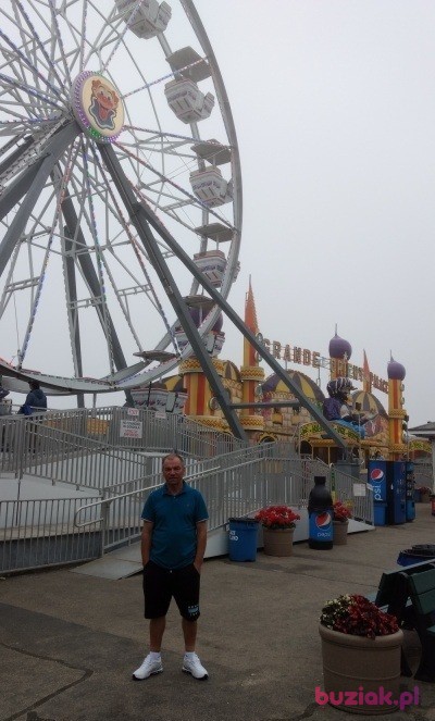 Stanisław, Male, 64, Tarnów, Polska, Photo: 2