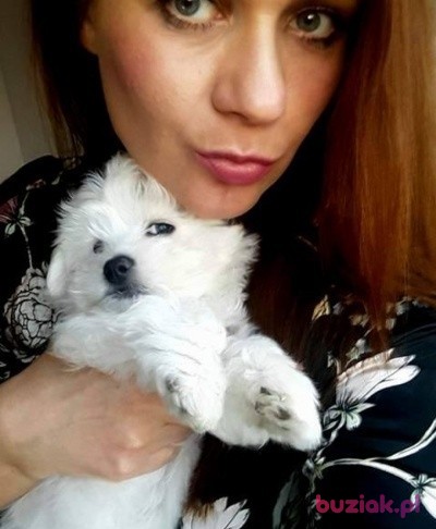 Monika, Kobieta, 42, Polska, Zdjęcie: 1