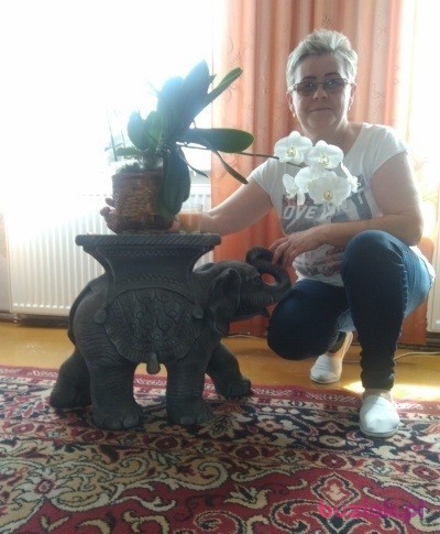 irenafgw, Female, 65, Gorzów Wielkopolski, Polska, Photo: 2