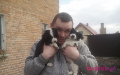 Krystian, Mężczyzna, 33, Ostrów Wielkopolski, Polska: 1