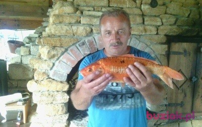 Janek, Mężczyzna, 64, Chmielnik, Polska, Zdjęcie: 5