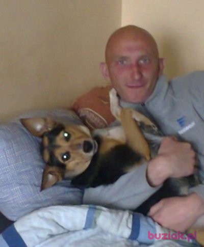 Aleksander, Mężczyzna, 38, Gdańsk, Polska, Zdjęcie: 4