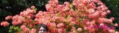 Ania, Kobieta, 43, Warszawa, Polska, Zdjęcie: 2