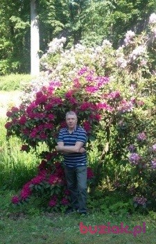 wszystkie, Mężczyzna, 69, Kraków, Polska, Zdjęcie: 4
