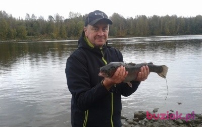 Jarek, Male, 62, Konin, Polska, Photo: 2