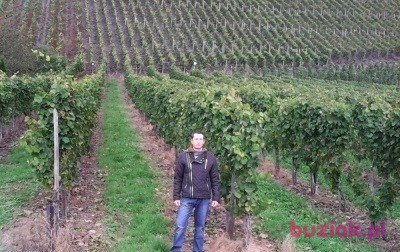 artur, Male, 35, Łańcut, Polska, Photo: 3