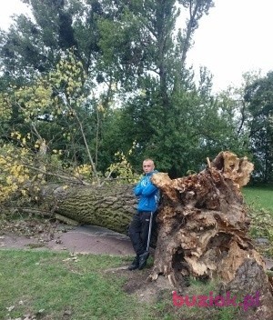 Wojciech, Male, 33, Poznań, Polska, Photo: 3