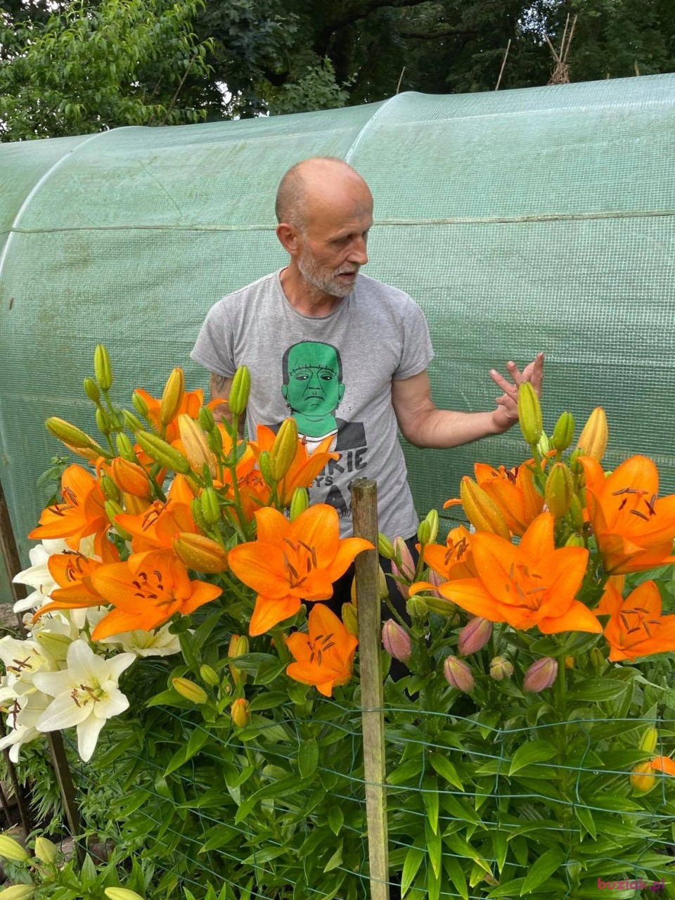 Janek, Male, 61, Głogów, Polska, Photo: 9
