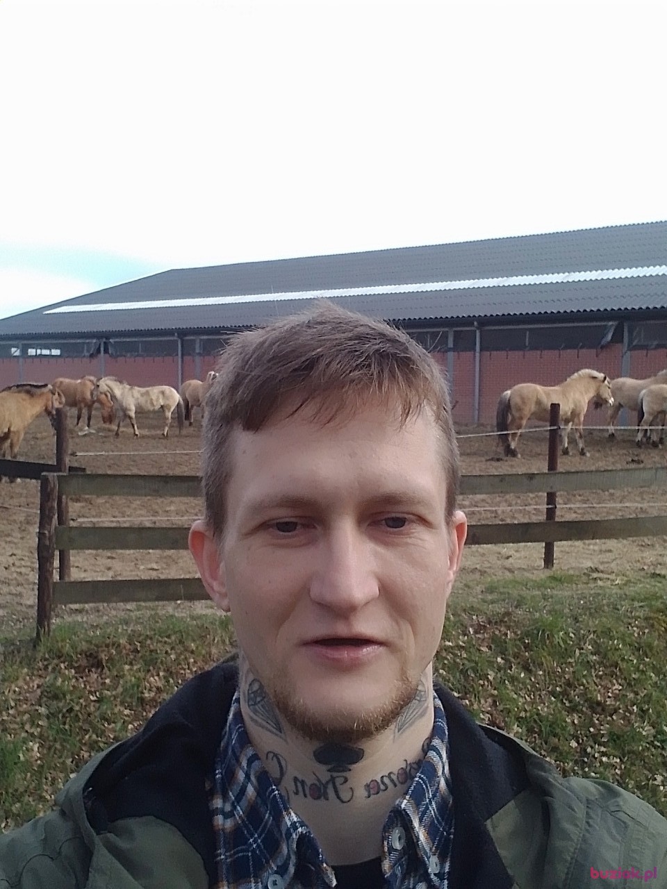 Patryk, Male, 32, Breda, Holandia: 1