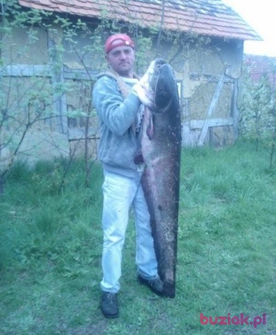 Robert , Mężczyzna, 46, Lubin, Polska: 1