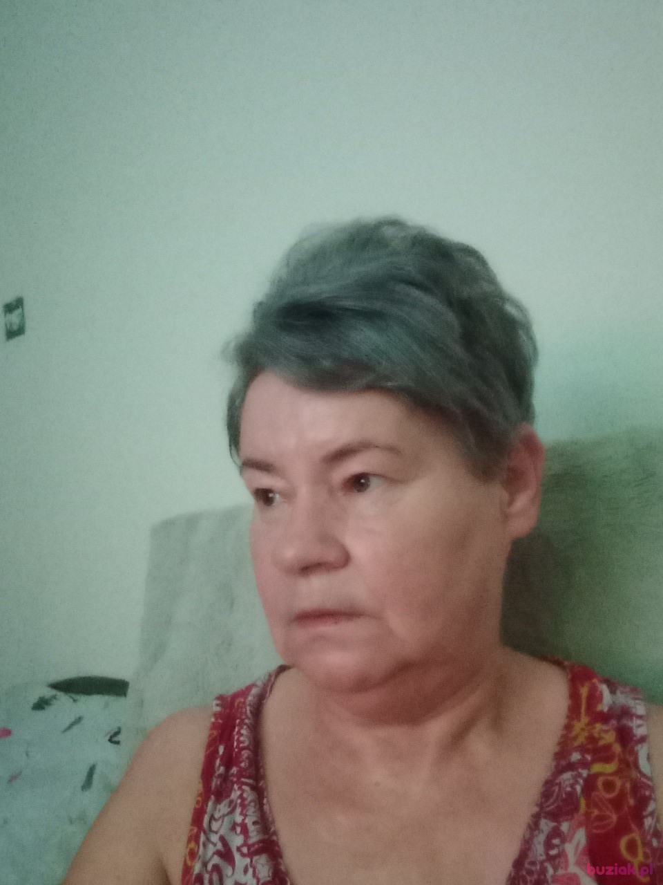 WANDA, Kobieta, 60, Elbląg, Polska: 1