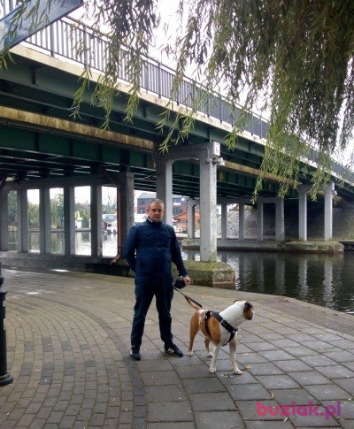 Bogusław, Mężczyzna, 43, Białystok, Polska, Zdjęcie: 1