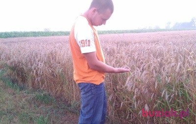 Sebastian, Male, 29, Sokołów Podlaski, Polska, Photo: 2