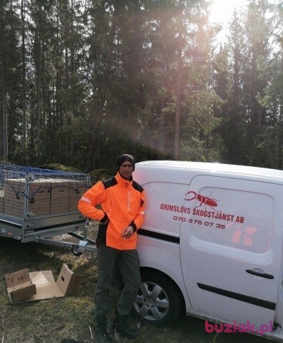Paweł, Male, 44, Kłodawa, Polska, Photo: 13