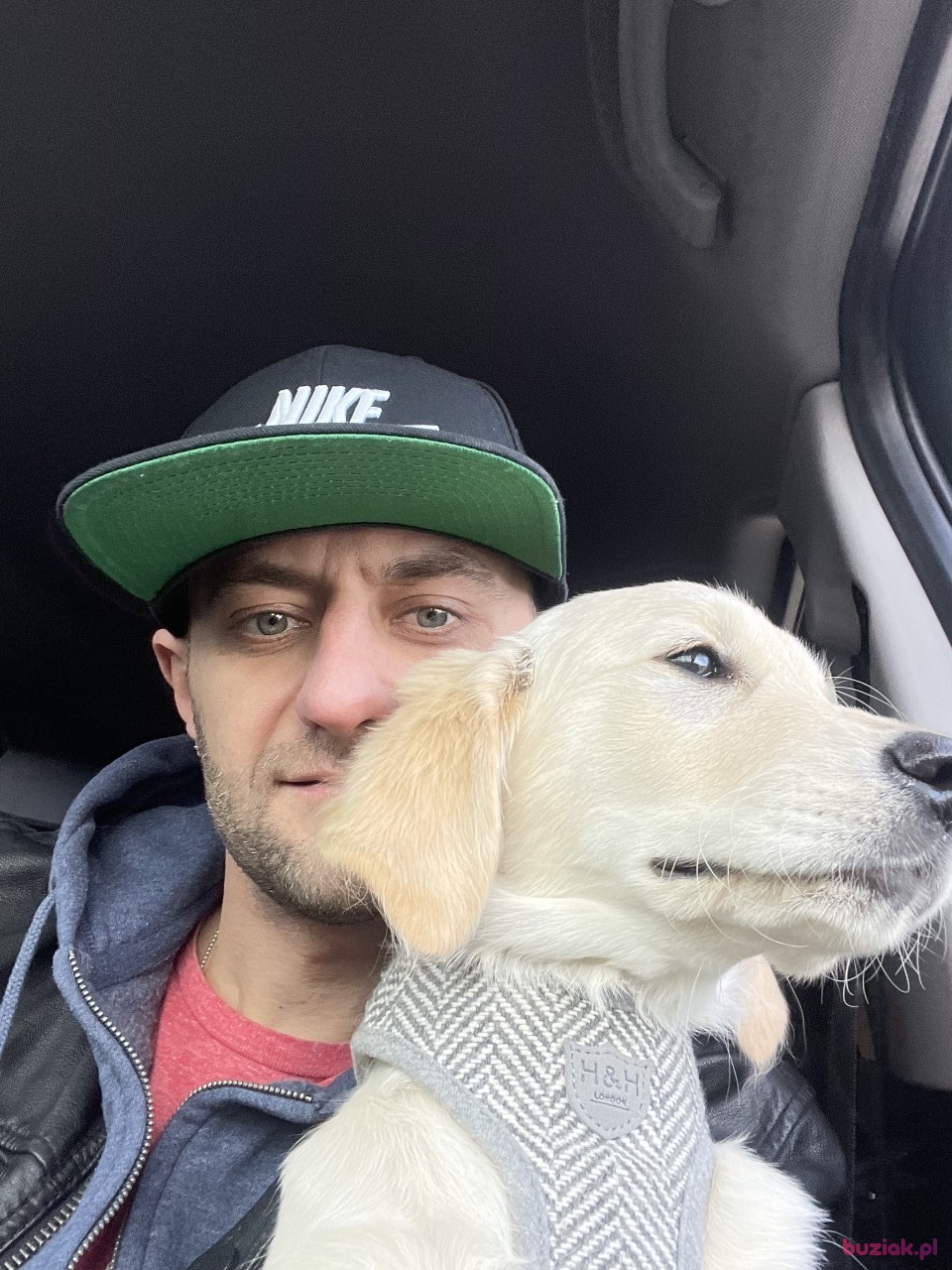 Powel, Male, 43, Wielka Brytania, Photo: 2