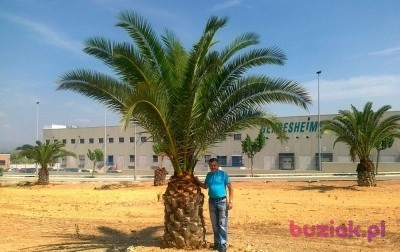 Ryszard, Male, 57, Bydgoszcz, Polska, Photo: 1