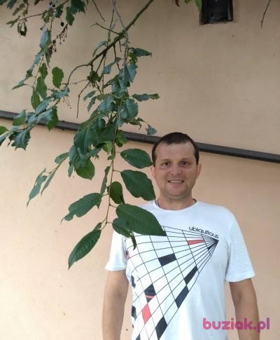 Rafał, Mężczyzna, 43, Racibórz, Polska, Zdjęcie: 1