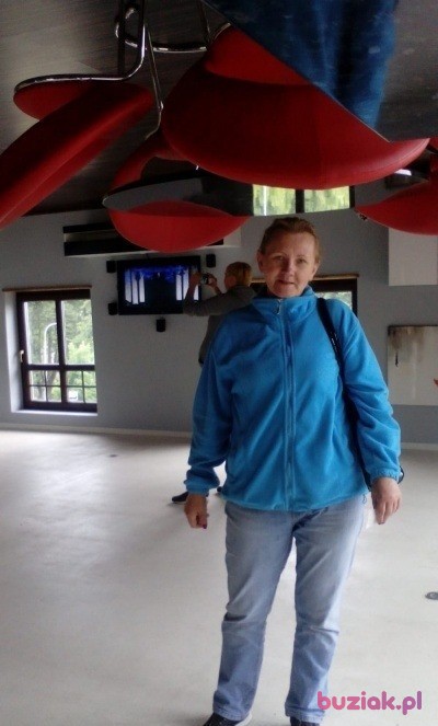 Jadwiga, Kobieta, 55, Kargowa, Polska, Zdjęcie: 2