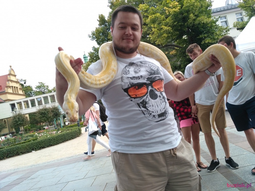 Mikołaj, Male, 29, Olsztyn, Polska, Photo: 3