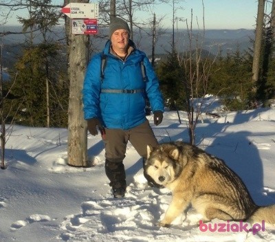 david6301, Male, 62, Cieszyn, Polska: 1