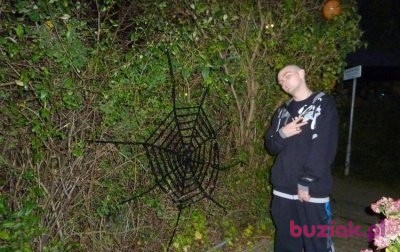 Łukasz, Male, 34, Holandia, Photo: 3