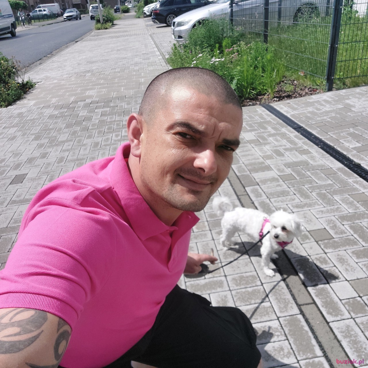 Kamil, Male, 36, Amersfoort, Holandia, Photo: 4