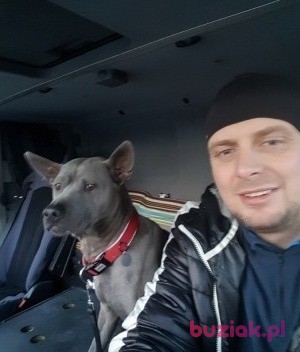 Marcin, Male, 39, Poznań, Polska, Photo: 1