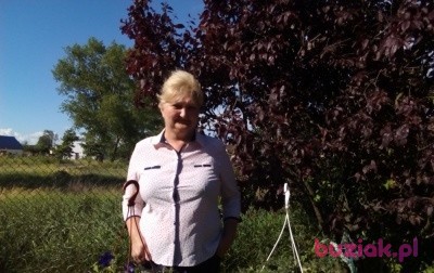 Grażyna, Female, 59, Inowrocław, Polska: 1