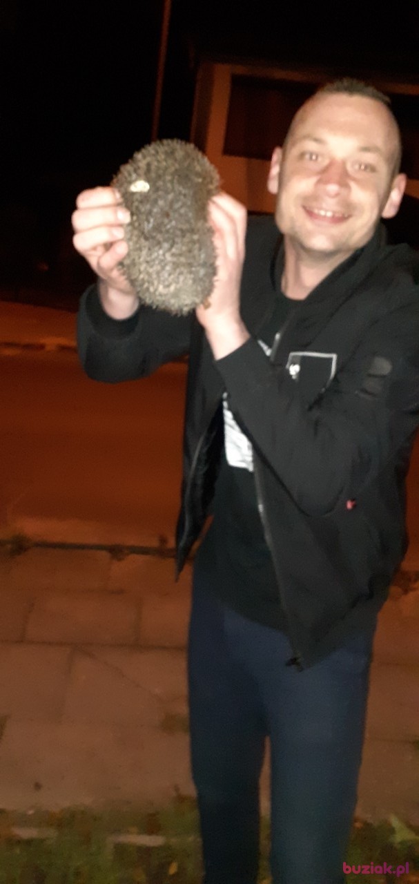 Kamil, Mężczyzna, 34, Szczecin, Polska: 1