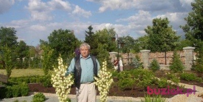 RYSZARD, Male, 85, Włocławek, Polska, Photo: 2