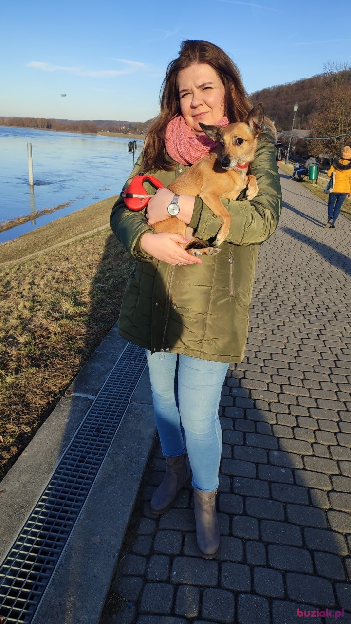 Dorota, Female, 43, Lublin, Polska, Photo: 2