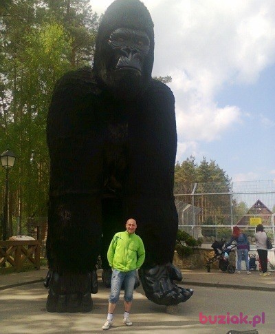 Sławomir, Male, 50, Gdańsk, Polska, Photo: 2