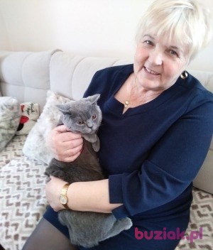 Teresa, Female, 70, Wschowa, Polska, Photo: 1