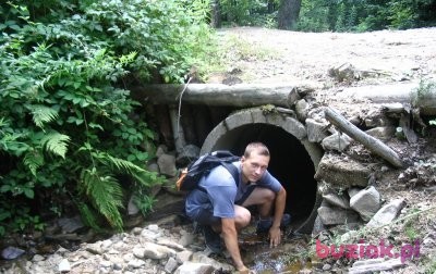 Jacek, Mężczyzna, 43, Gniezno, Polska, Zdjęcie: 1