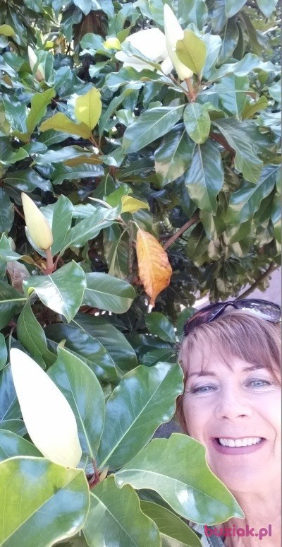 Danusia, Kobieta, 56, Düsseldorf, Niemcy, Zdjęcie: 12