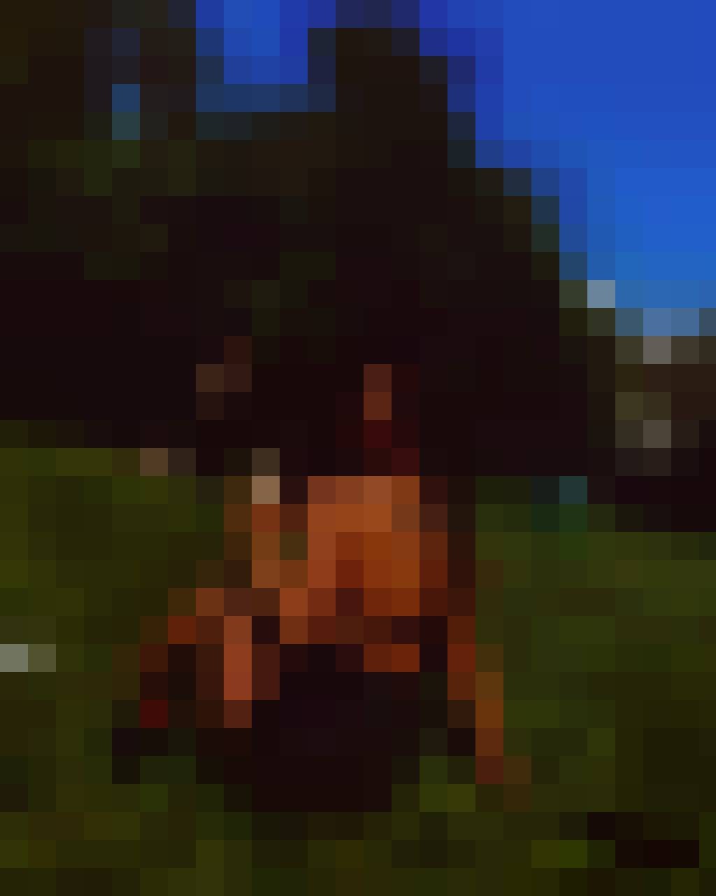 Karolina, Kobieta, 29, Haarlem North Holland Province, Holandia, Zdjęcie: 3