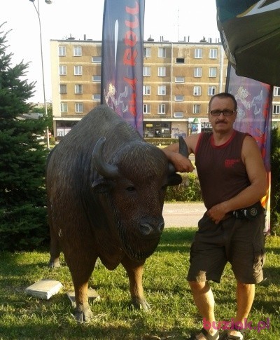 Jacek, Male, 61, Tarnów, Polska, Photo: 1