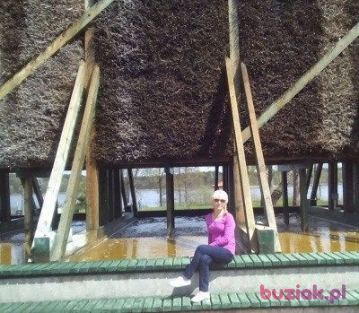 Teresa, Female, 66, Polska, Photo: 1