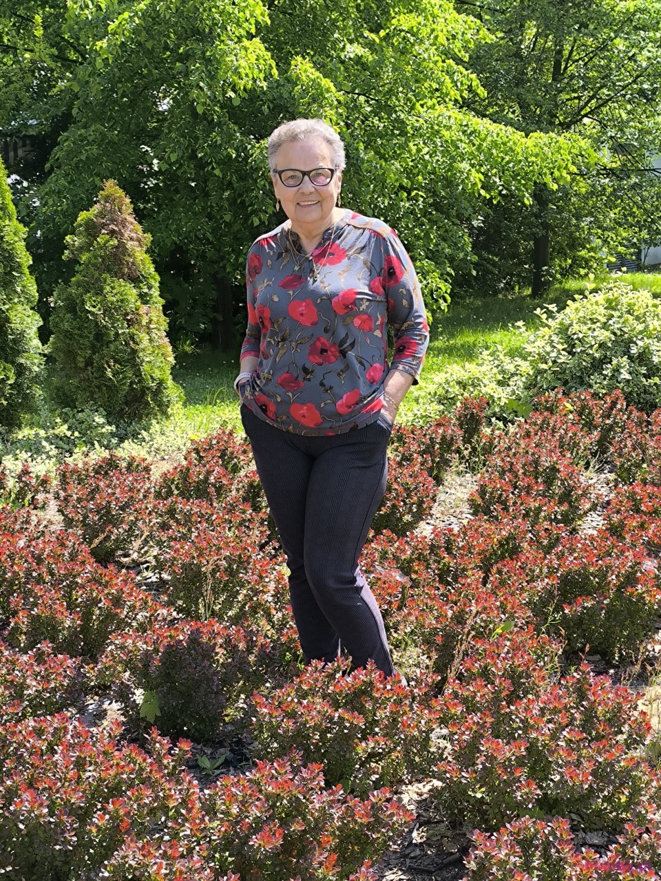 Elzbieta, Kobieta, 71, Polkowice, Polska, Zdjęcie: 1