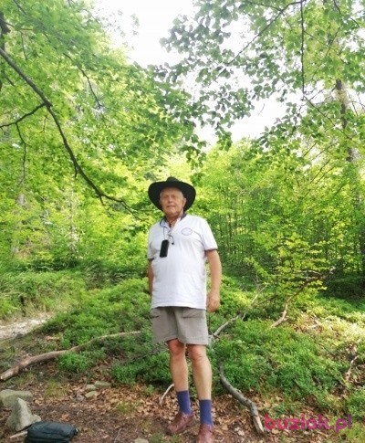 Stanisław, Mężczyzna, 74, Bielsko-Biała, Polska, Zdjęcie: 1