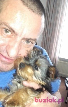 Robert, Mężczyzna, 56, Eindhoven, Holandia, Zdjęcie: 2