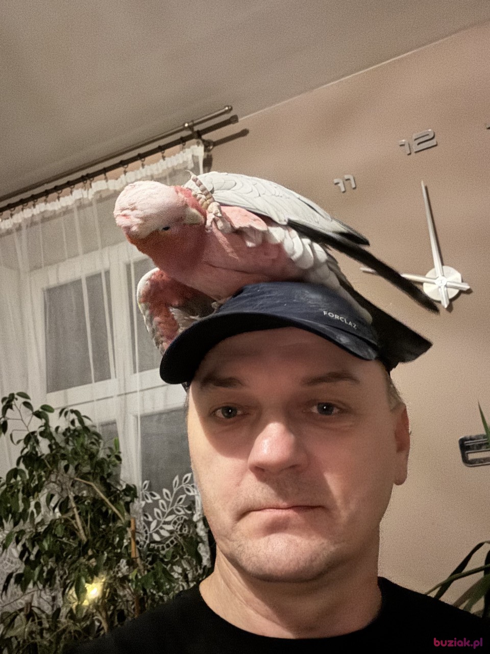 Marek, Male, 46, Chorzów, Polska, Photo: 1