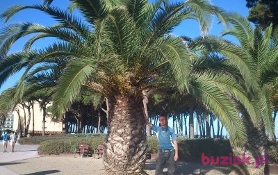 Sylwester, Male, 39, Rzeszów, Polska, Photo: 3