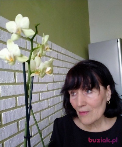 Nadia, Kobieta, 74, Brodnica, Polska, Zdjęcie: 1